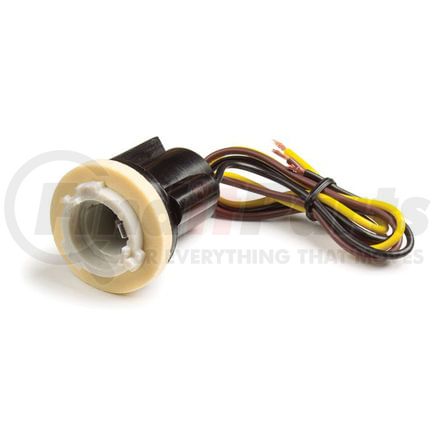 841030 by GROTE - SOCKET