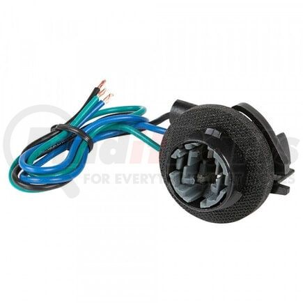 841086 by GROTE - Pigtail and Socket - for 3057/3157/415 bulbs