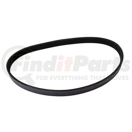 4050315 by CONTINENTAL AG - Automotive Multi-V Belt