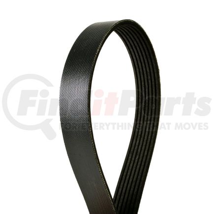 4070365 by CONTINENTAL AG - Automotive Multi-V Belt