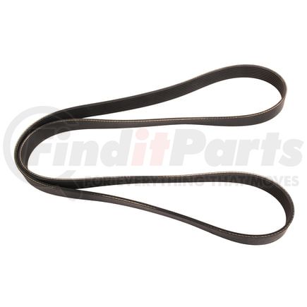Continental AG 4080352 Serpentine Belt Automotive Multi-V Belt