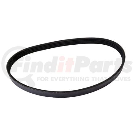 Continental AG 4050640 Serpentine Belt Automotive Multi-V Belt