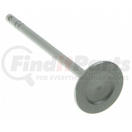 V-1076 by SEALED POWER - Engine Intake Valve