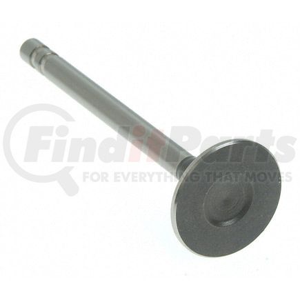 V-1199 by SEALED POWER - Engine Exhaust Valve