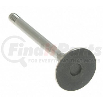 V-1339 by SEALED POWER - Engine Exhaust Valve