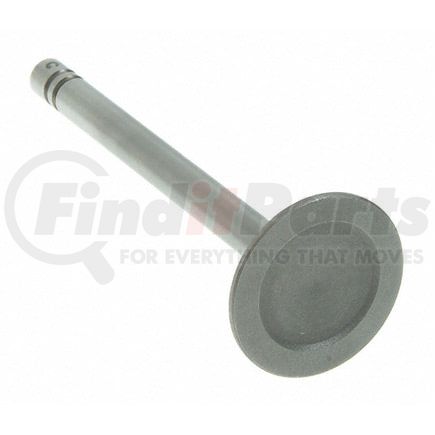 V-1434 by SEALED POWER - Engine Intake Valve