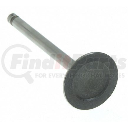 V-1711 by SEALED POWER - Engine Intake Valve