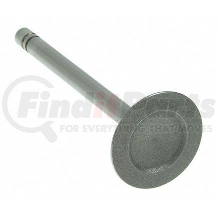 V-1722 by SEALED POWER - Engine Intake Valve