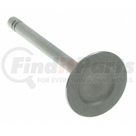 Sealed Power V-1908 Engine Intake Valve Engine Intake Valve