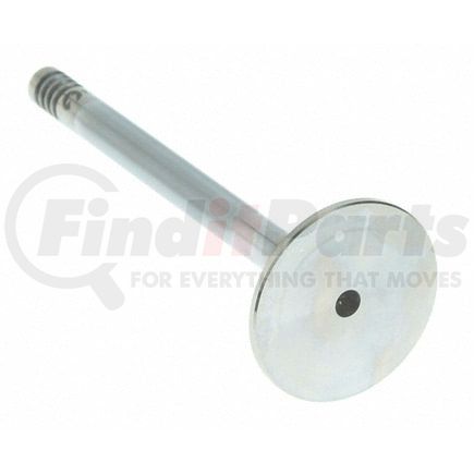 V-2024 by SEALED POWER - Engine Exhaust Valve