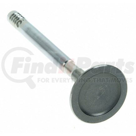 V-2029 by SEALED POWER - Engine Exhaust Valve