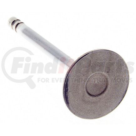 V-2143 by SEALED POWER - Engine Intake Valve