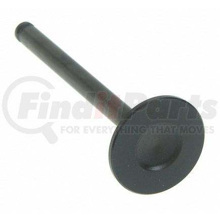 V-3952 by SEALED POWER - Engine Exhaust Valve