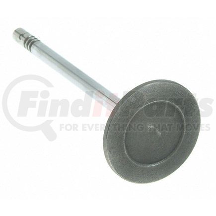 Sealed Power V-4602 Engine Intake Valve Engine Intake Valve