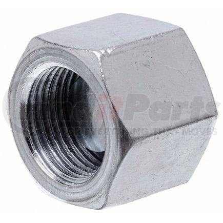 G64097-0002 by GATES - Female British Standard Pipe Parallel Cap (International to International)