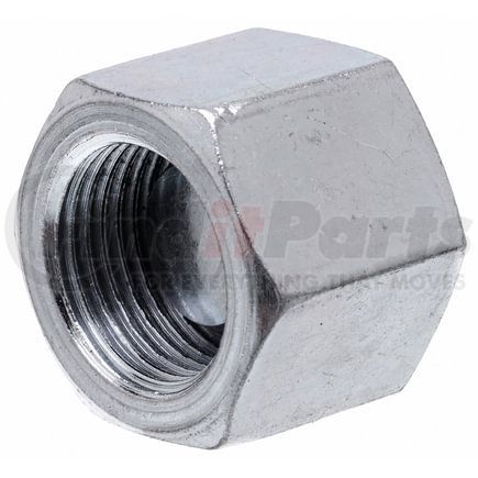 G64097-0010 by GATES - Female British Standard Pipe Parallel Cap (International to International)