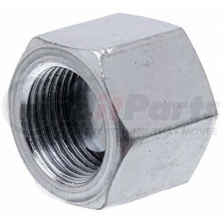 G64097-0032 by GATES - Female British Standard Pipe Parallel Cap (International to International)