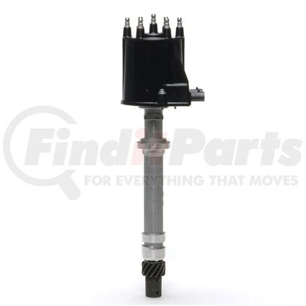 Delphi CZ20002 Distributor
