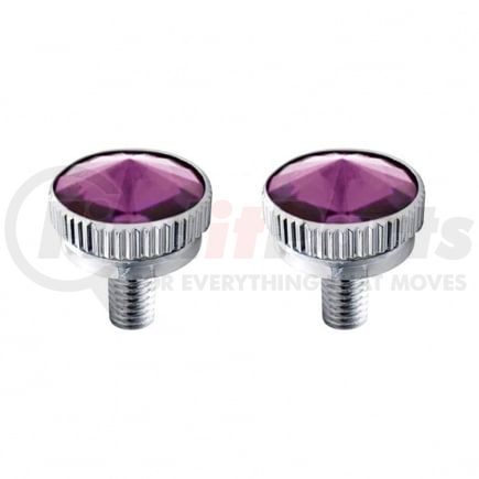 21762 by UNITED PACIFIC - Decorative Body Accessory - C.B. Mounting Bolt, 5mm, with Purple Diamond