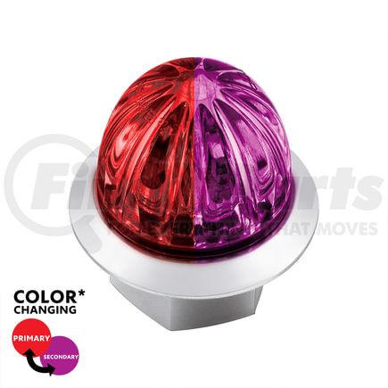 39238 by UNITED PACIFIC - Clearance Light - 3/4", 4 LED, Mini Watermelon, Red and Purple LED, Clear Lens, Double Fury