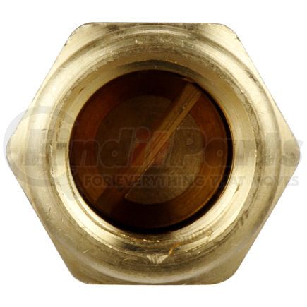 FA10016 by DELPHI - Fuel Pump Check Valve