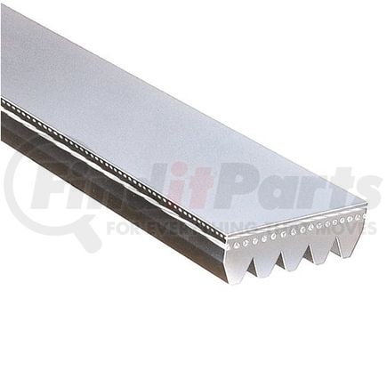 610J10 by GATES - Industrial Micro-V Belt