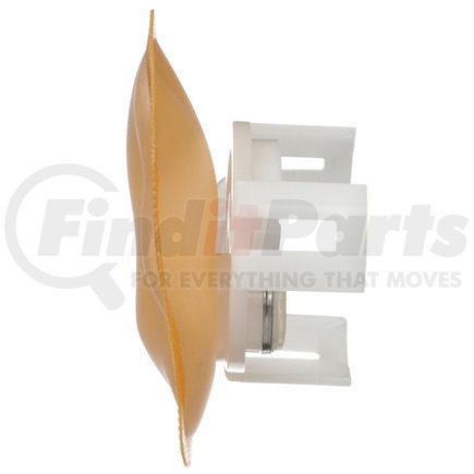 FS0202 by DELPHI - Fuel Pump Strainer