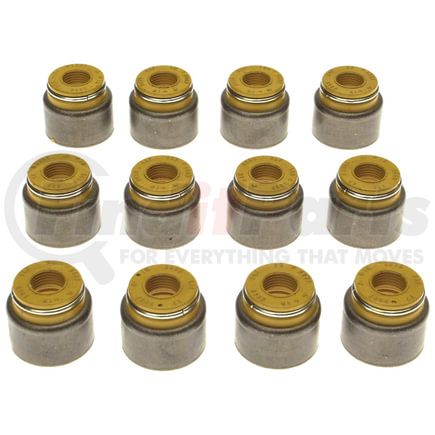 Mahle SS45903 Engine Valve Stem Oil Seal Set Engine Valve Stem Oil Seal Set