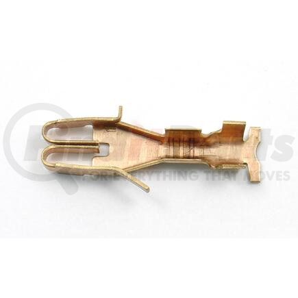 CG6 by STANDARD IGNITION - WIRE TERMINAL