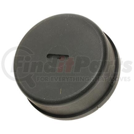 CV107 by STANDARD IGNITION - CHOKE THERMOSTA