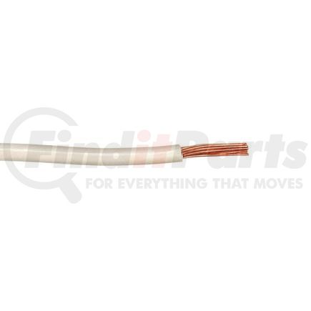 CW12W by STANDARD IGNITION - RETAIL PRIMARY W