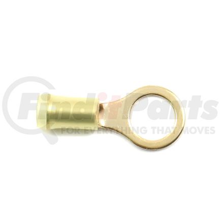 HP6580 by STANDARD IGNITION - PRIMARY TERMINAL