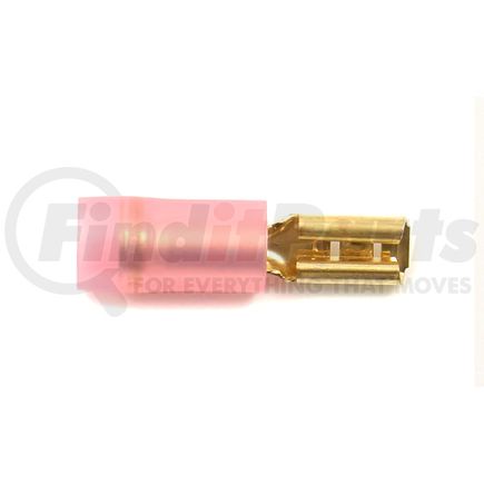 HP6520 by STANDARD IGNITION - PRIMARY TERMINAL