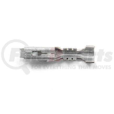 HP7050 by STANDARD IGNITION - PRIMARY IGNITION