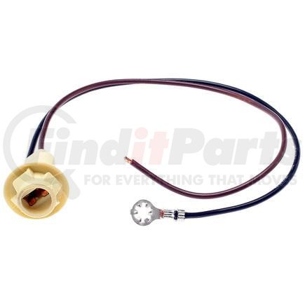 S-74 by STANDARD IGNITION - Multi Function Socket