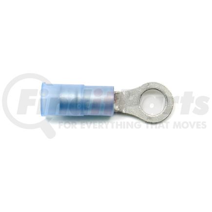 STP438 by STANDARD IGNITION - Wire Terminal