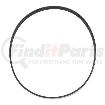 01-35646-908 by FREIGHTLINER - Accessory Drive Belt - 4 Ribs, 908 mm