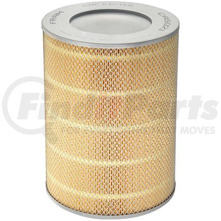 FRAM CA5021 Engine Air Filter Metal End Air Filter