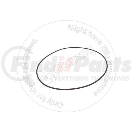 199-0700 by BLUMAQ - Seal O-ring