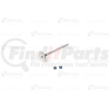 6745-41-4151 by BLUMAQ - Engine Exhaust Valve