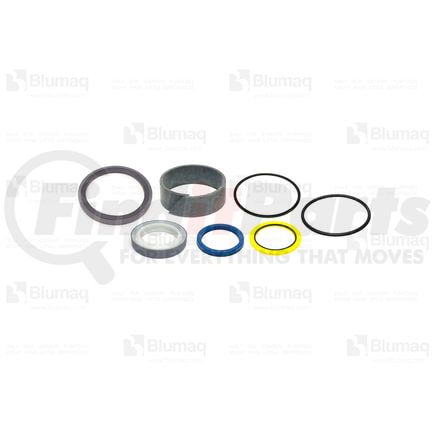 BD637379 by BLUMAQ - SEAL HYD. KIT