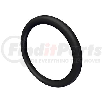 3678756 by CUMMINS - Seal Ring / Washer