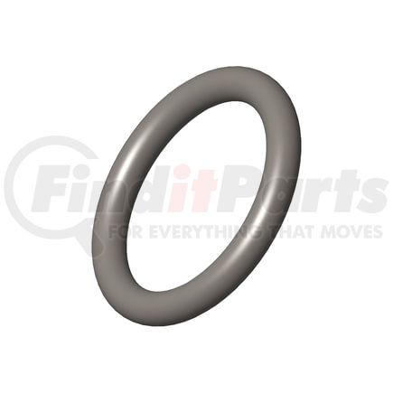 Cummins 3679139 Seal Ring / Washer Seal Ring / Washer