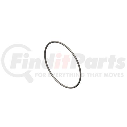 Cummins 3940386 Seal Ring / Washer Seal Ring / Washer
