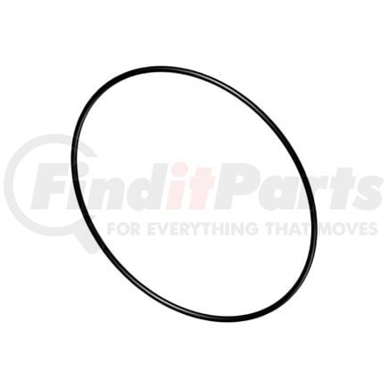 4299124 by CUMMINS - Seal Ring / Washer