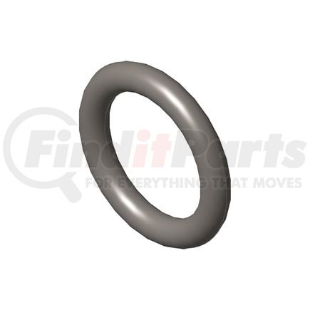 Cummins 195952 Seal Ring / Washer Seal Ring / Washer