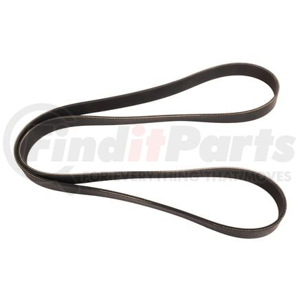 4080374 by CONTITECH - SERPENTINE BELT - 8 RIB 37.4in