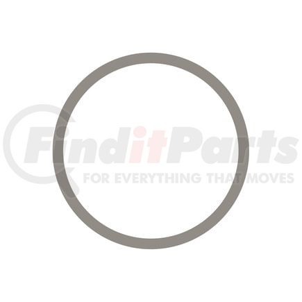 Cummins 3018695 Seal Ring / Washer Seal Ring / Washer