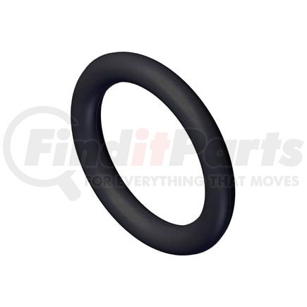 3029820 by CUMMINS - Seal Ring / Washer