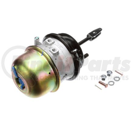 NT3030ELS-WC by BENDIX - SPRG BRKE